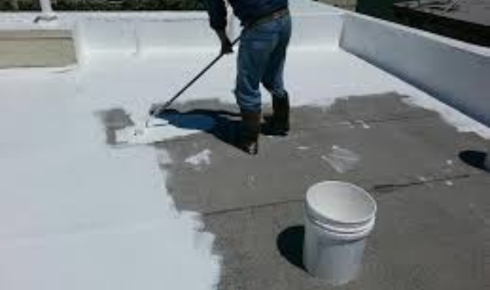 How can noticing algae or moss patches on roof surfaces warn you about long-term dampness