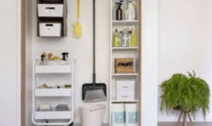 How can setting a five-minute nightly “reset” habit in the living room change how mornings feel