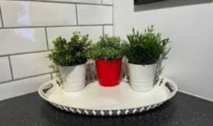 What difference does rotating seasonal plants in and out of view make to balcony interest