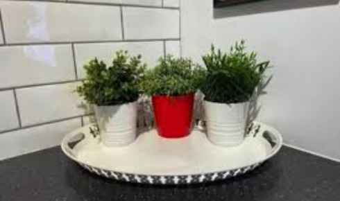 What difference does rotating seasonal plants in and out of view make to balcony interest