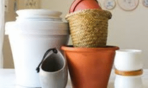 Why is it useful to check pot drainage holes after heavy rain or deep watering