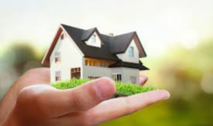 Read Real clients experiences