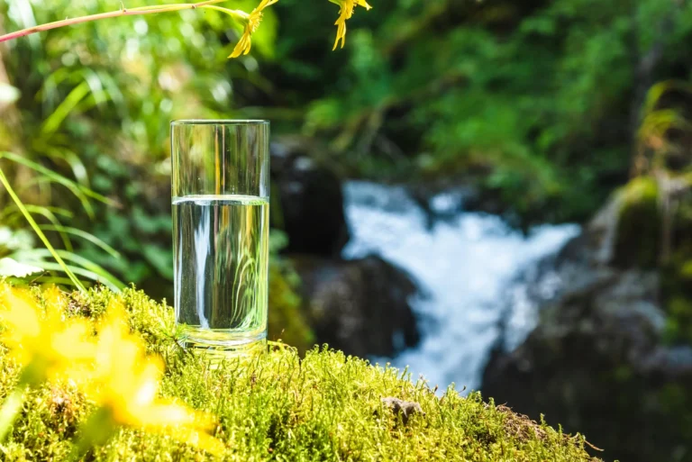 water filtration and air purification